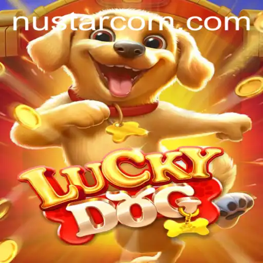 Exploring LuckyDog: The Interactive Game Experience with NuStar Influence